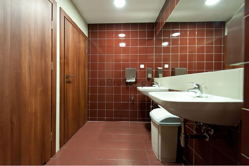 Krak&oacute;w, Stare Miasto, Podwale, Stare Miasto, 135 m2 (open space+ 3 pokoje)parking