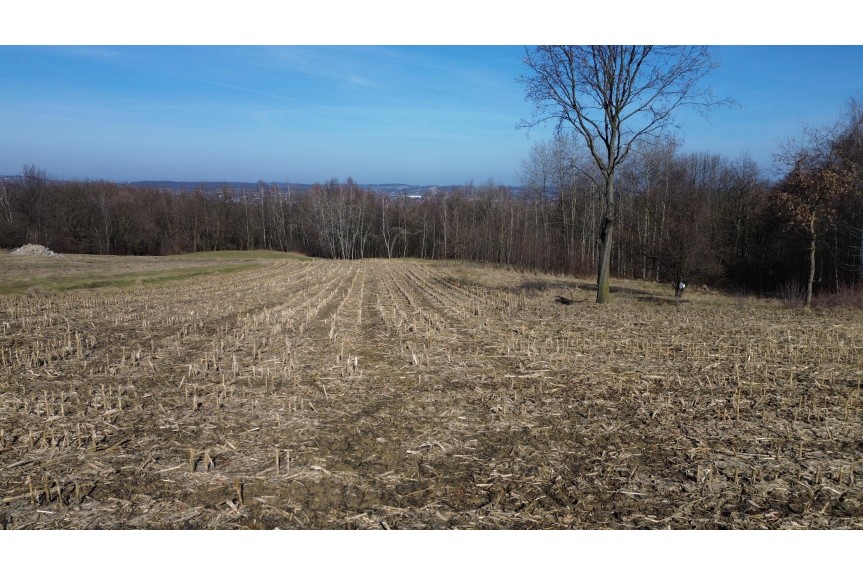 Stryszowa, Gd&oacute;w, Działka na sprzedaż